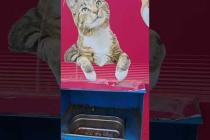 街中にキャットフードの自販機