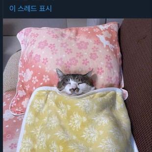 통 모짜 핫도그의 반댓말은?