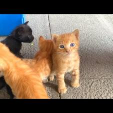 We Gave Hope to a Family Lost in the Crowd