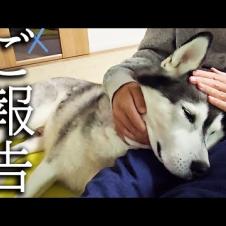 緊急で病院から呼び出されました...