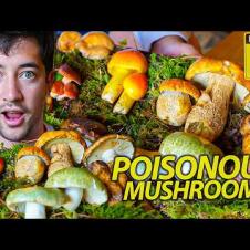 China’s HOT POT of DEATH 🇨🇳  Wild Mushroom Dish Sends 100's to the Hospital!