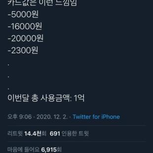 카드값은 이런 느낌이야