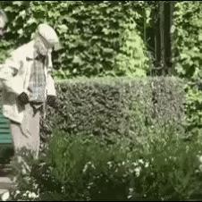 걷다가 돌아가신 노인