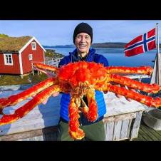 Fly Here to Eat the World’s Best King Crab!!