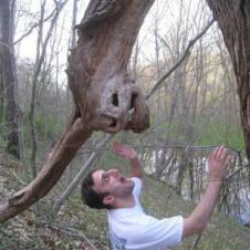 괴물 나무