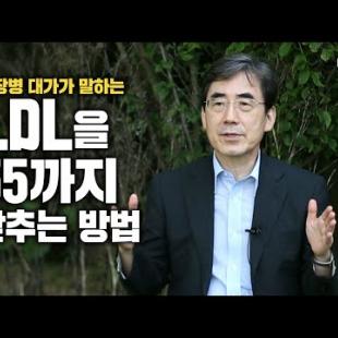 LDL 콜레스테롤을 55까지 낮추는 방법! (심장병 대가 서울대병원 김효수 교수&홍혜걸 기자) | 인사이트 인터뷰 하이라이트