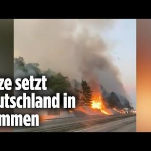 [독일 Bild紙] Deutschland brennt: Riesiger Waldbrand an der A44 bei Kassel