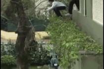 나무가 미끄러워~~~