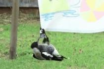 왜 그러고 있냐