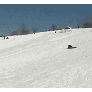 썰매 리포터 플립