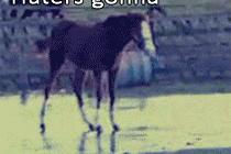 아이고 미끄러워~~`