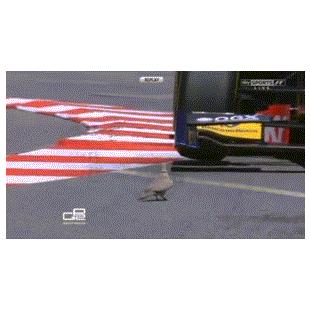 도망가는 동작이 더 빨라...