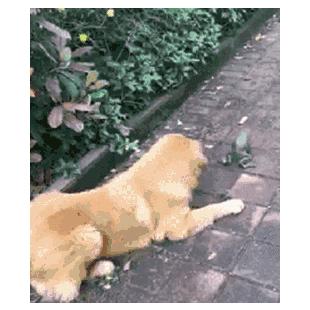 배우기 힘드네!!