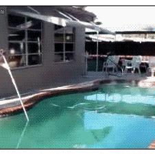 수영장 장대 건너뛰기