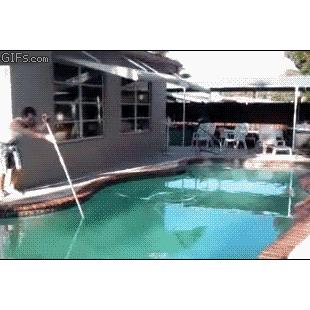 수영장 장대 건너뛰기