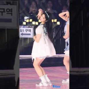 빌려온 고양이 #원희 #wonhee #illit