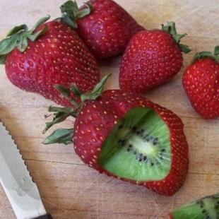 키위 맛이 나는 딸기