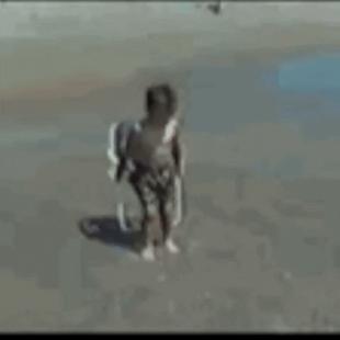 어린이의 파도타기