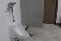 멍멍이의 화장실 매너