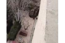 5층 높이에서 추락