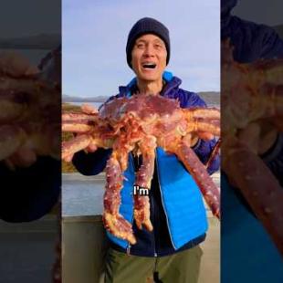 Eating the World's Freshest King Crab 🦀