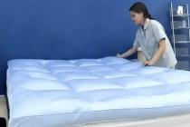 광고 촬영 중 사망