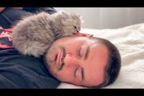 Man’s Ear was Attacked by a Tiny Kitten