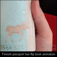 애니메이션 핀란드 여권
