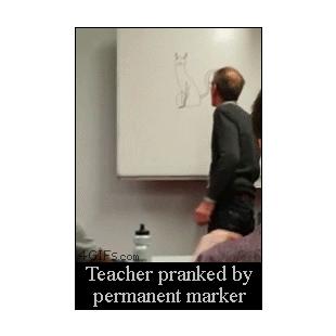 Teacher-cat-marker-prank