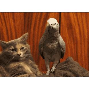 내가 그리도 우습냐...