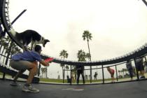 스마트폰으로 360도 회전 촬영