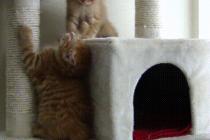 이를 꽉 물어라