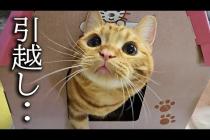 突然ですが新築に引っ越しすることになりました...