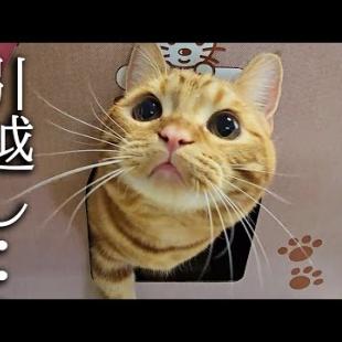 突然ですが新築に引っ越しすることになりました...