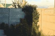 뭔가 간절한 눈빛