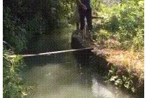 물에 빠져도 전 좋아요