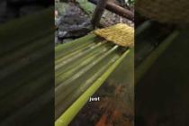 Eating Noodles from a Bamboo Water Slide in Japan 🍜