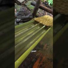 Eating Noodles from a Bamboo Water Slide in Japan 🍜