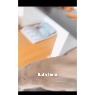목욕타임