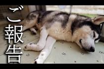 残念で悲しいお知らせです...