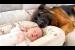 German Shepherd Falls in Love with Newborn Baby