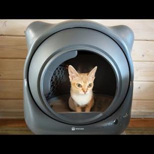 САМЫЙ МИЛЫЙ АВТОМАТИЧЕСКИЙ ЛОТОК ДЛЯ КОШЕК AMICURA