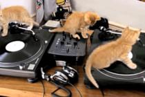 돌리고 돌리고,,,