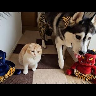 生まれて初めて豆まきしたら犬と猫が大変なことに...