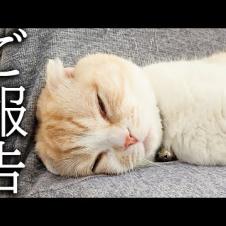 【ご報告】病院での血液検査の結果について...