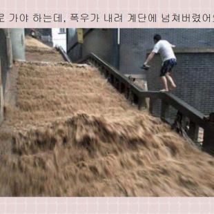 폭우가 내려~~