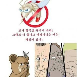 모기 함부로 죽이지 마라.