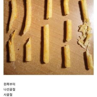 골절 종류