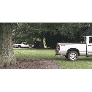 A troll pulls a tree with his truck.