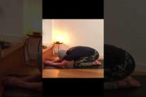 Stretch your back from the inside out